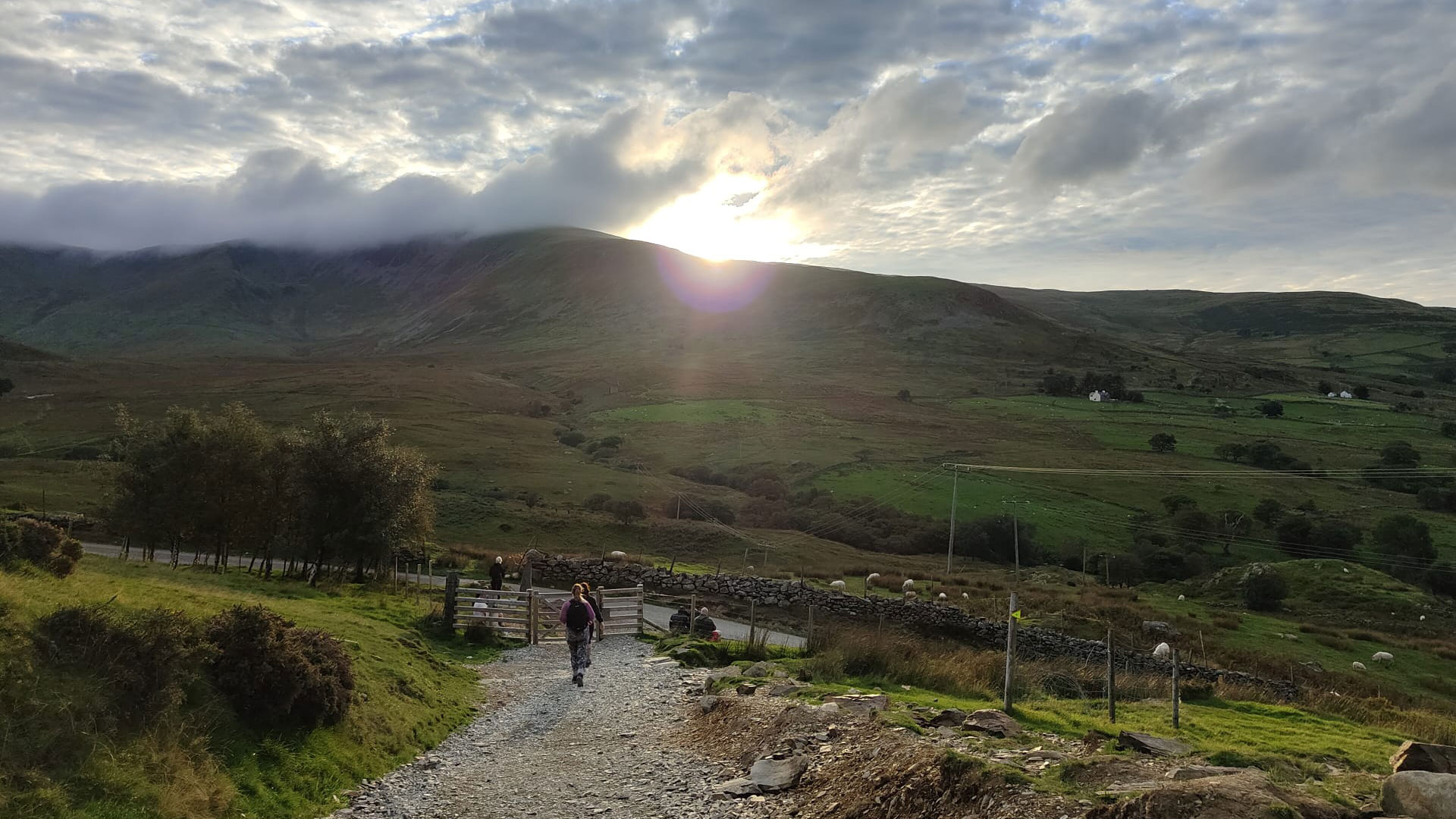 A photo of the team on the walk