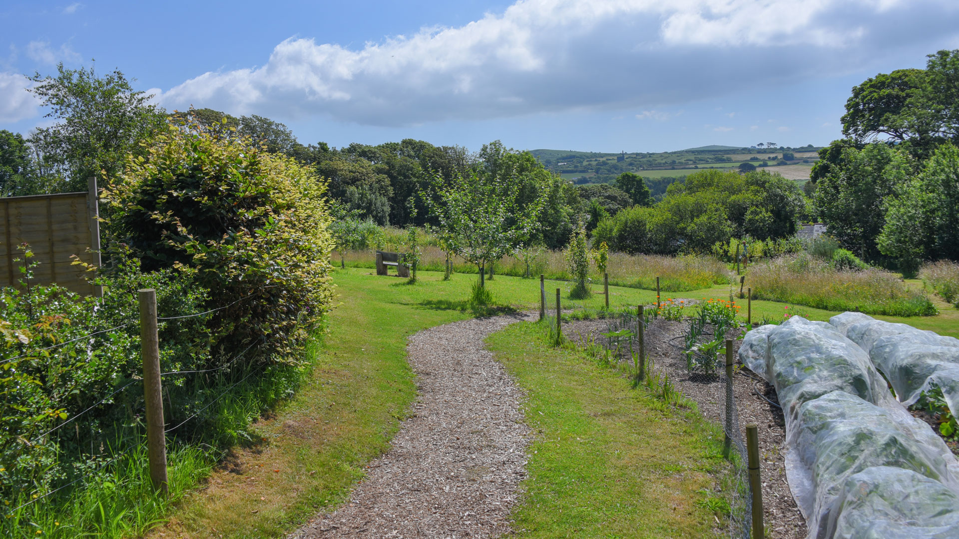 Bosence Farm garden