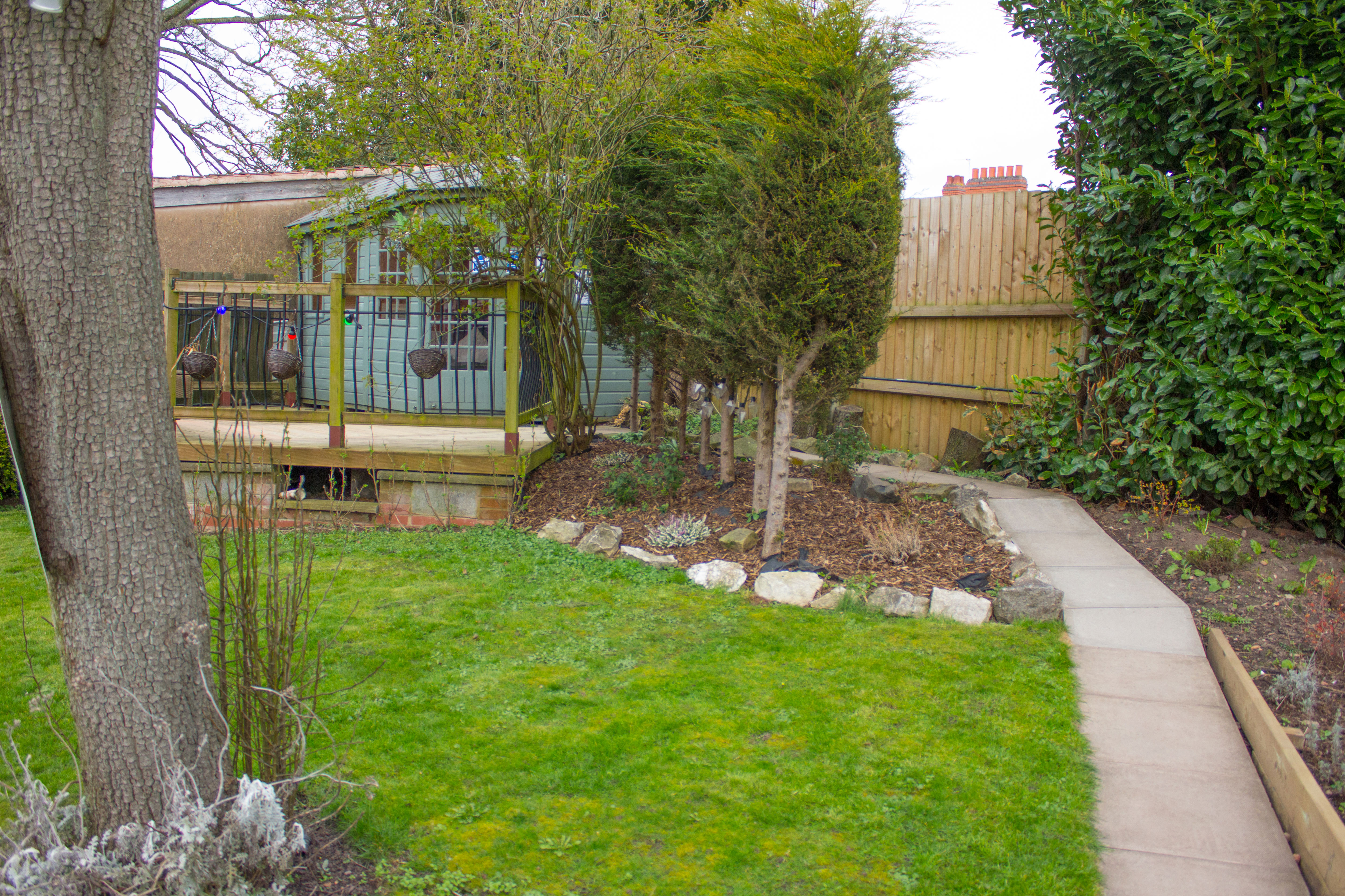 A photo of a garden, with a tree in the foreground on the left hand side, and a path on the right leading down to a shed at the bottom