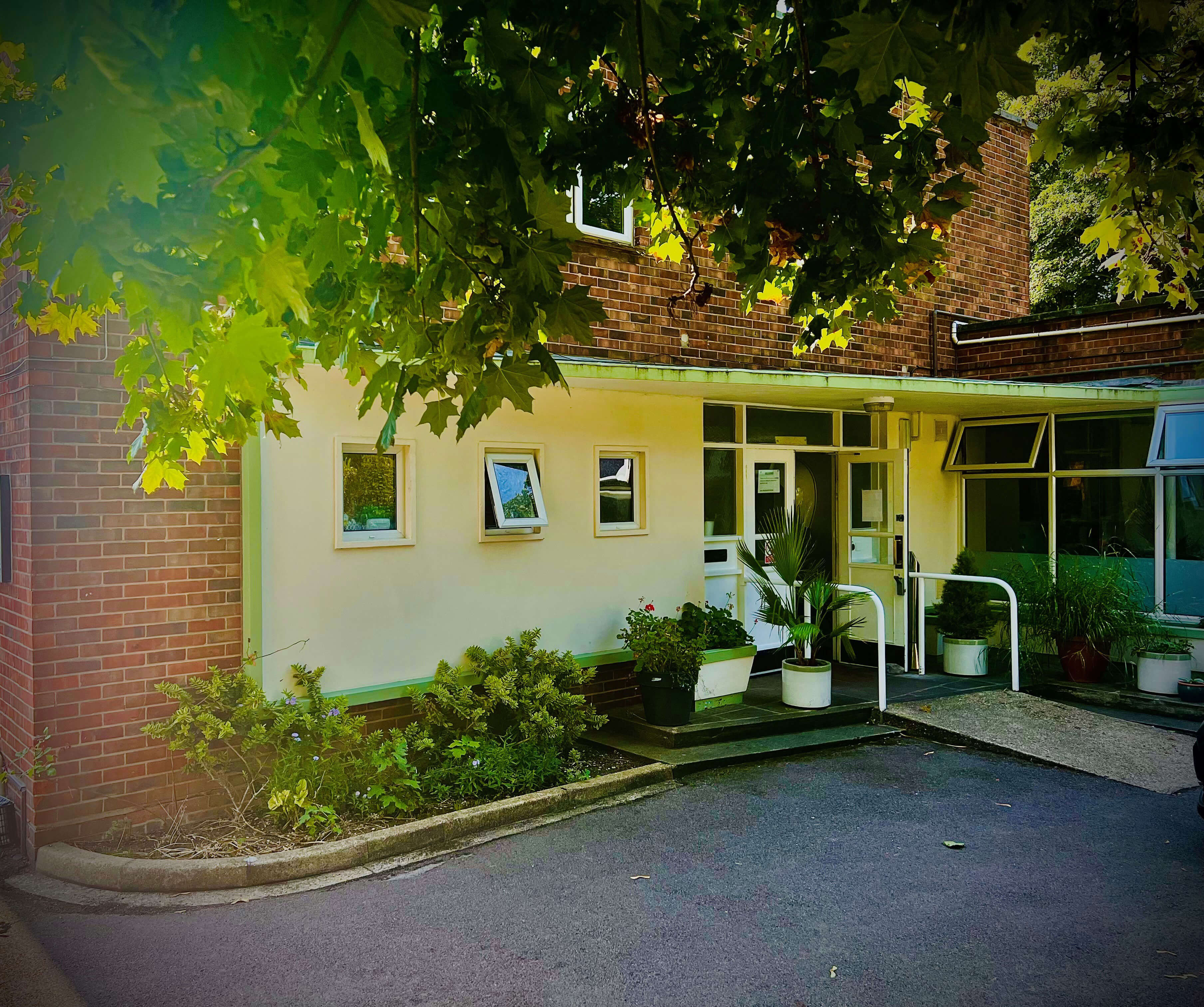 A photo of the outside of the building. There are plenty of windows with a tree over hanging the top of the image.