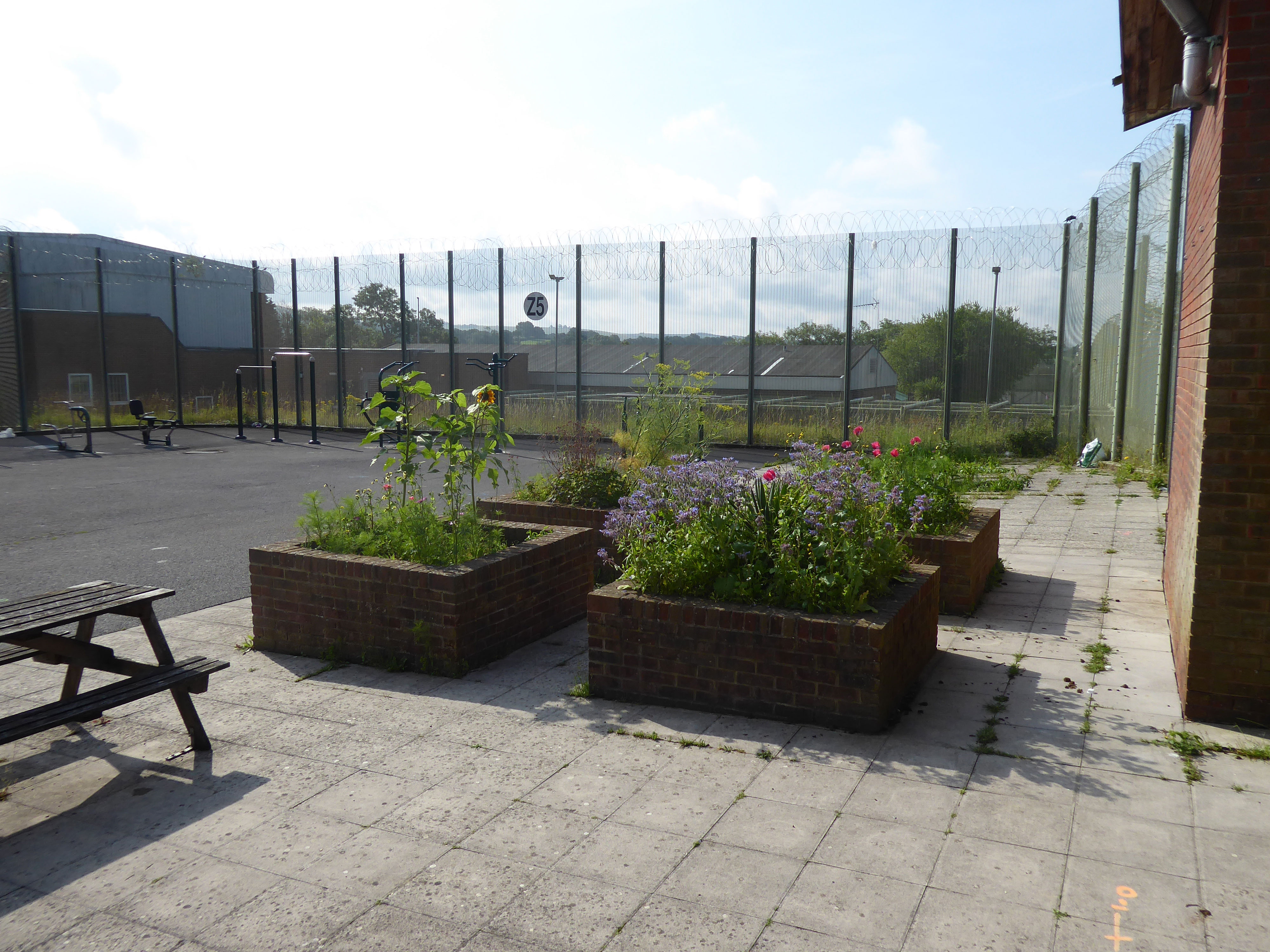 An outdoor courtyard with some planter boxes and wooden picnic benches